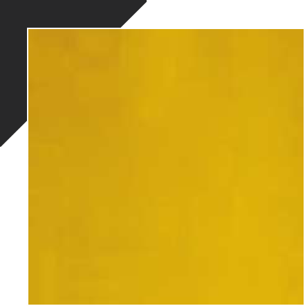 Matt Gold